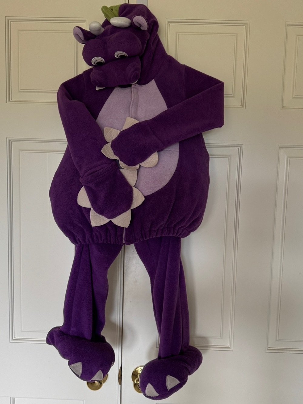 Kids Costume (5T) Flying Dragon 2 piece  Purple Jacket and Pants Old Navy